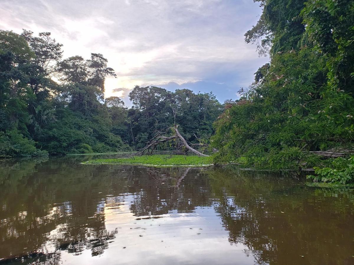 Casa Thirema Tortuguero Hotel Bagian luar foto