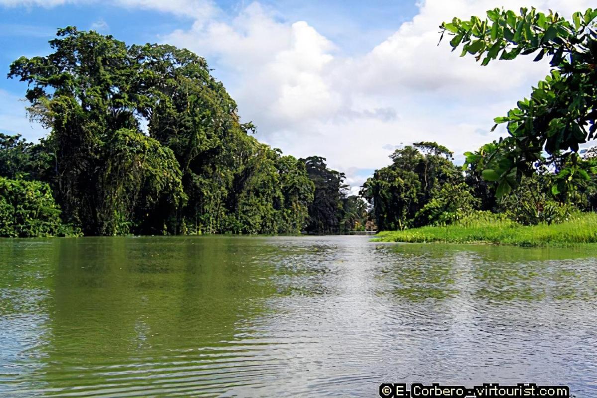 Casa Thirema Tortuguero Hotel Bagian luar foto